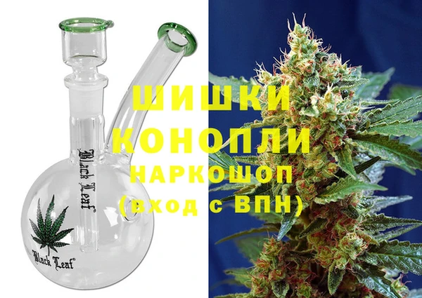 стаф Богданович