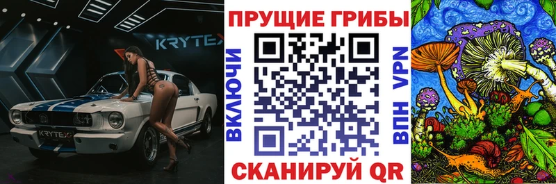Галлюциногенные грибы GOLDEN TEACHER  блэк спрут вход  Невель 